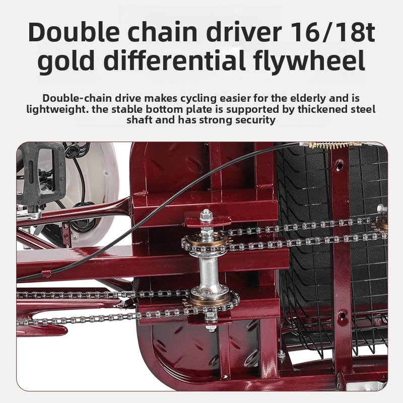 Triciclo de moda para adultos, - Bicycle Chain reseña y precio