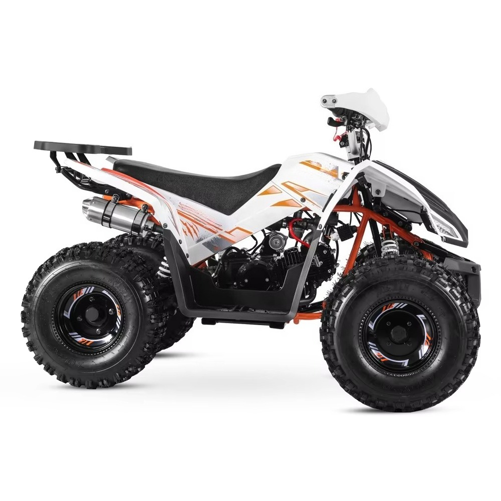 Stlf Tao Motor 2026 Nuevo Dise - Bike Chain reseña y precio